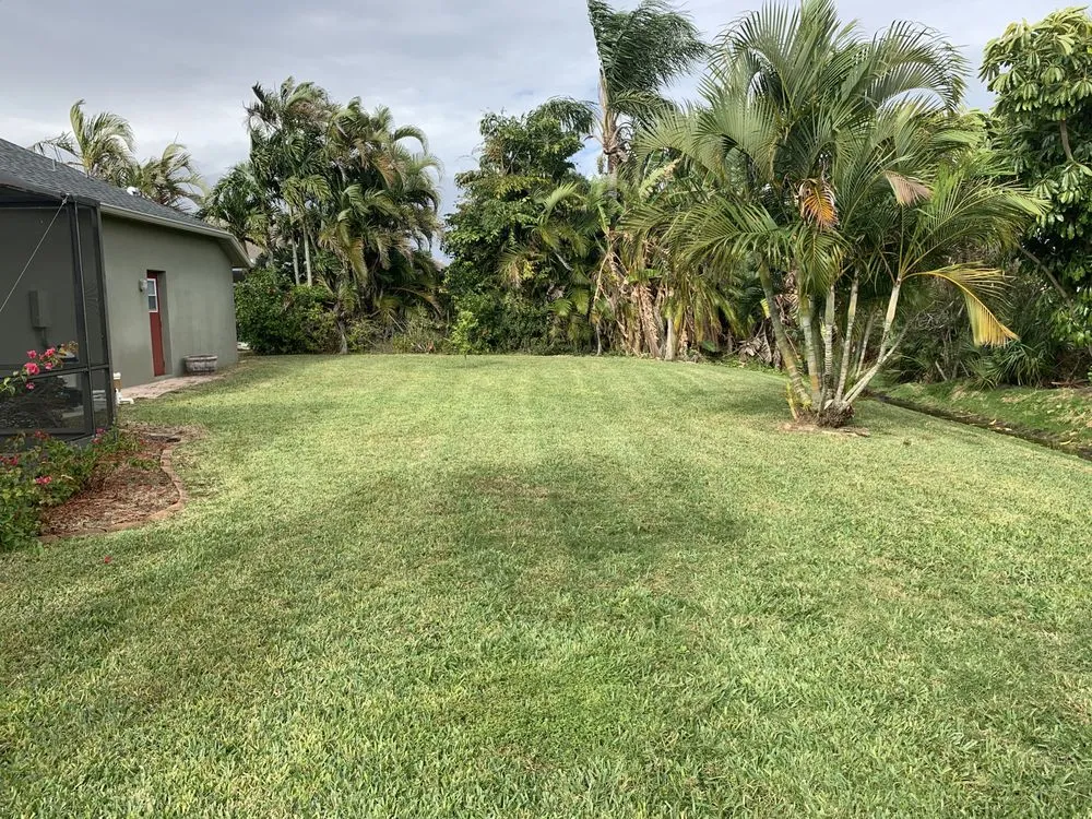 Affordable yard maintenance experts serving Melbourne, FL - Freys Lawn Care service