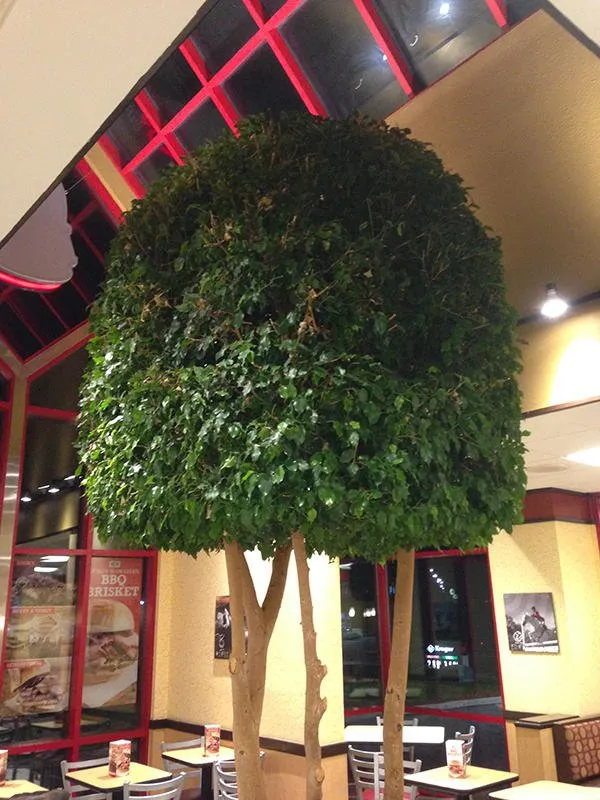 Expert lawn care service for beautiful yards in Fort Wayne, IN by Friar Enterprises