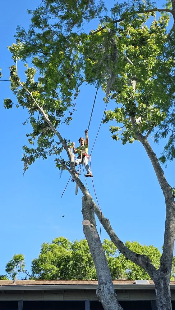Professional landscape design for residential properties across Sanford, FL - Fricke's Tree Service