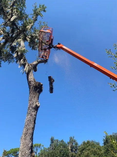 Reliable landscape design for residential properties across Sanford, FL - Fricke's Tree Service