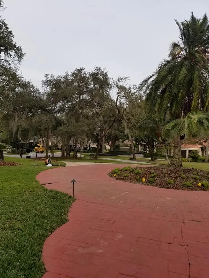 Trusted yard maintenance experts serving Sanford, FL - Fricke's Tree Service