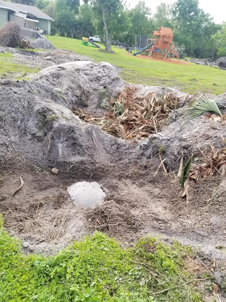 Top-rated garden landscaping in Sanford, FL - Fricke's Tree Service