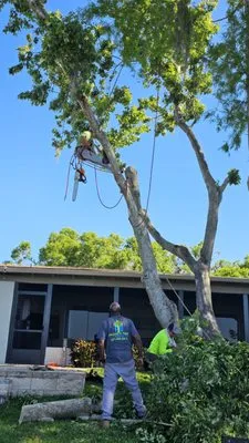 Fricke's Tree Service Logo