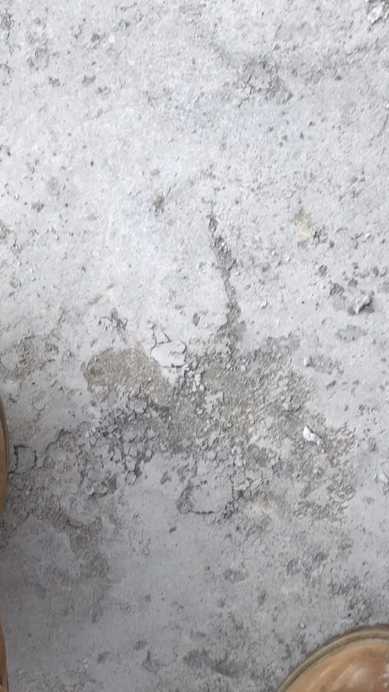 Affordable outdoor landscaping experts serving New Paltz, NY - Friedlander Construction