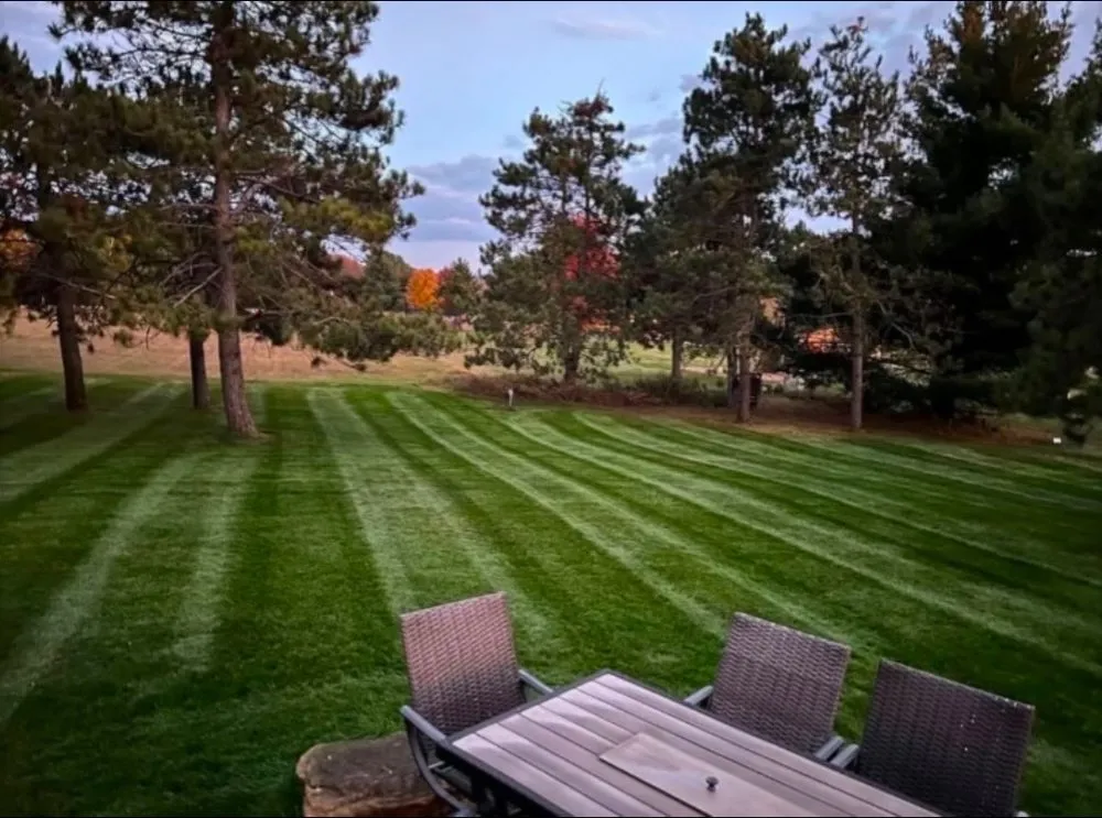 Reliable landscaping services for residential properties in Cottage Grove, MN by Friemann's 4 Season Landscaping