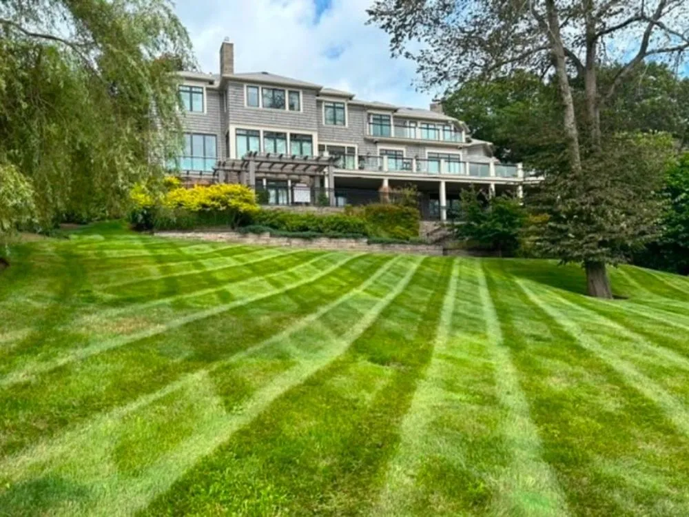 Expert outdoor landscaping in Cottage Grove, MN by Friemann's 4 Season Landscaping