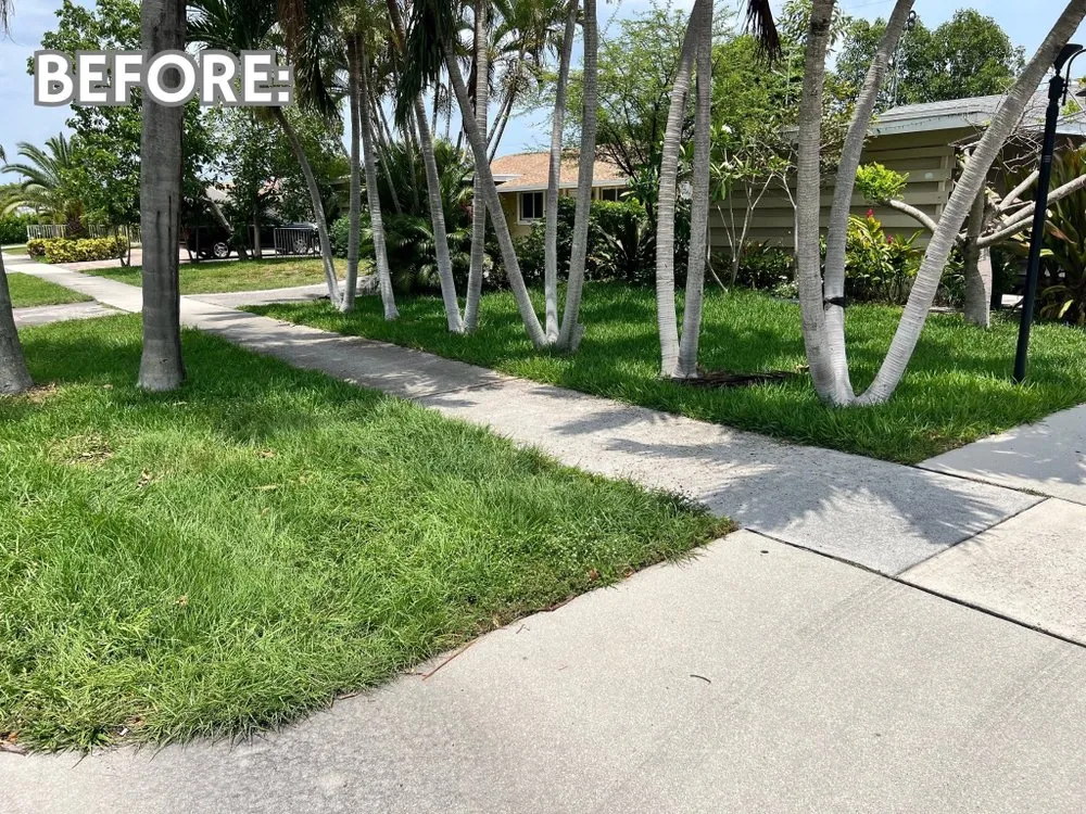 Trusted yard cleanup service in Boynton Beach, FL - Friendly Cutting