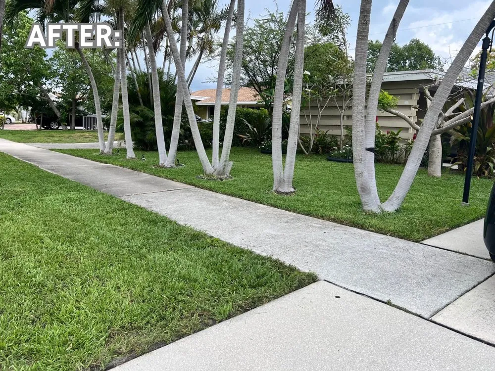 Affordable outdoor landscaping for beautiful yards in Boynton Beach, FL by Friendly Cutting