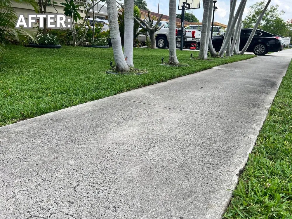 Expert landscape installation with custom design across Boynton Beach, FL - Friendly Cutting