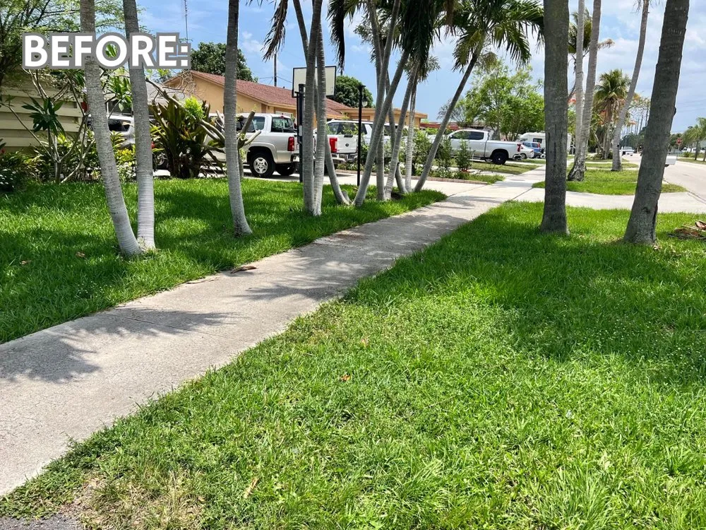 Reliable landscape installation in Boynton Beach, FL - Friendly Cutting