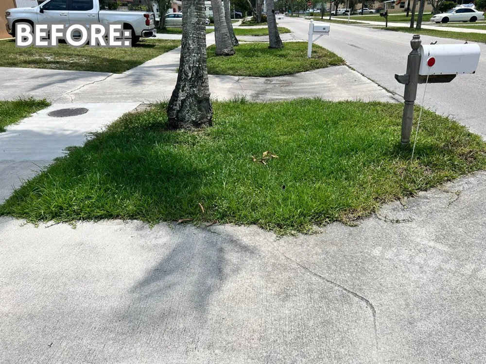 Custom landscape installation in Boynton Beach, FL - Friendly Cutting