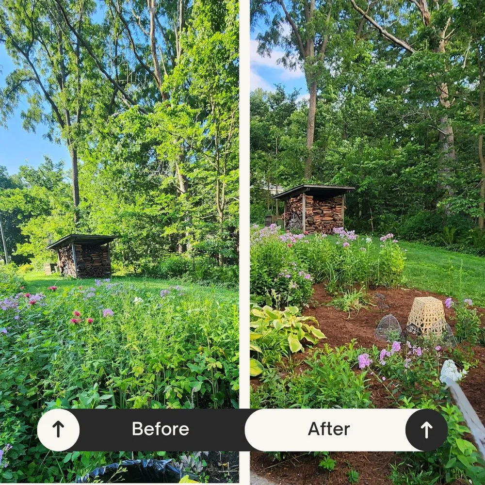 Reliable garden landscaping for homes across Madison, WI - Friendly Landscaping