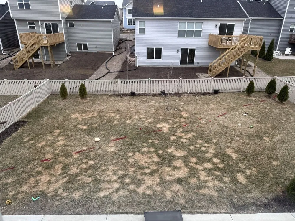 Affordable yard maintenance for beautiful yards in Madison, WI by Friendly Landscaping