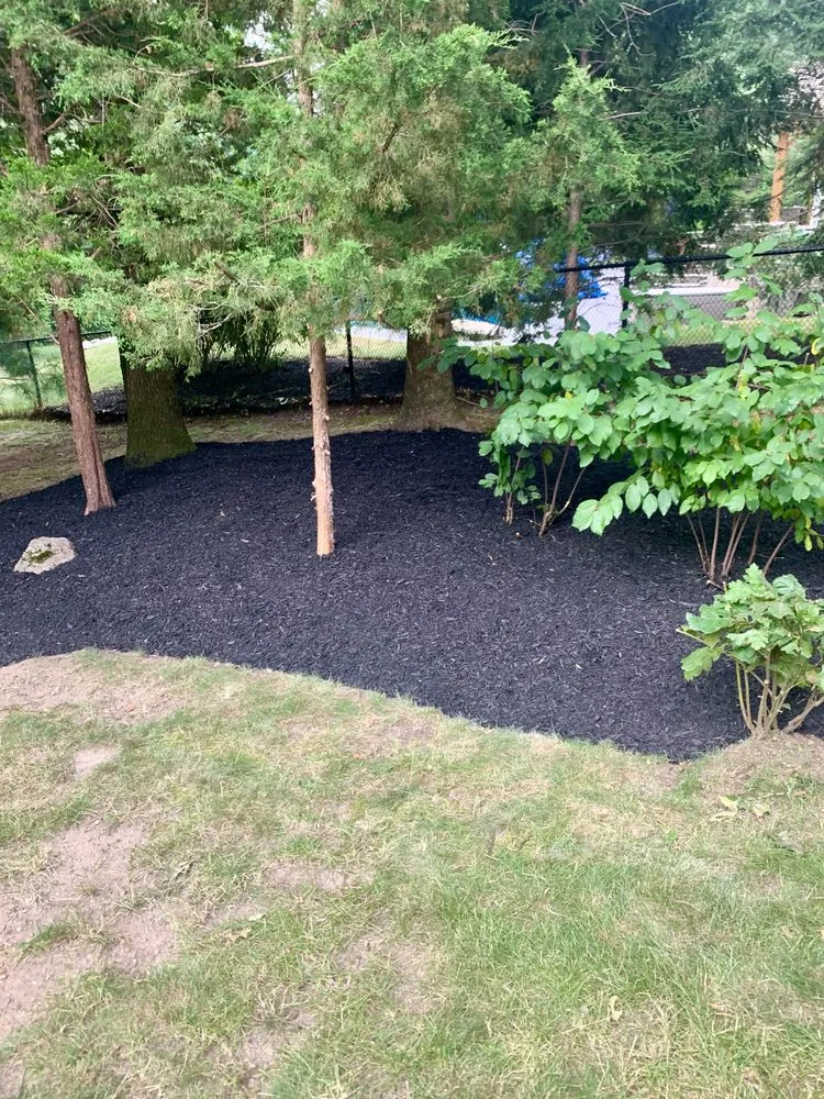 Top-rated landscaping services in Taunton, MA - Friendly Landscaping