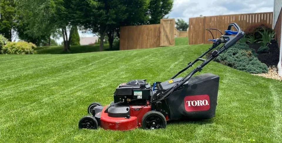 Professional outdoor landscaping for homes in Carthage, TX by Friendly Lawn & Tree service