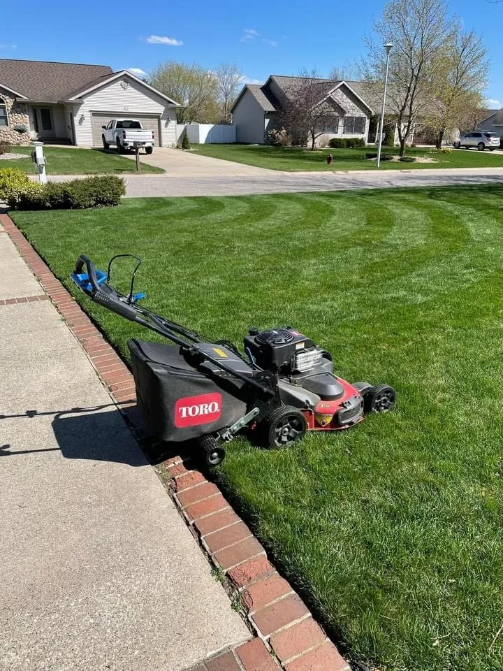 Local landscape design for year-round maintenance in Carthage, TX by Friendly Lawn & Tree service