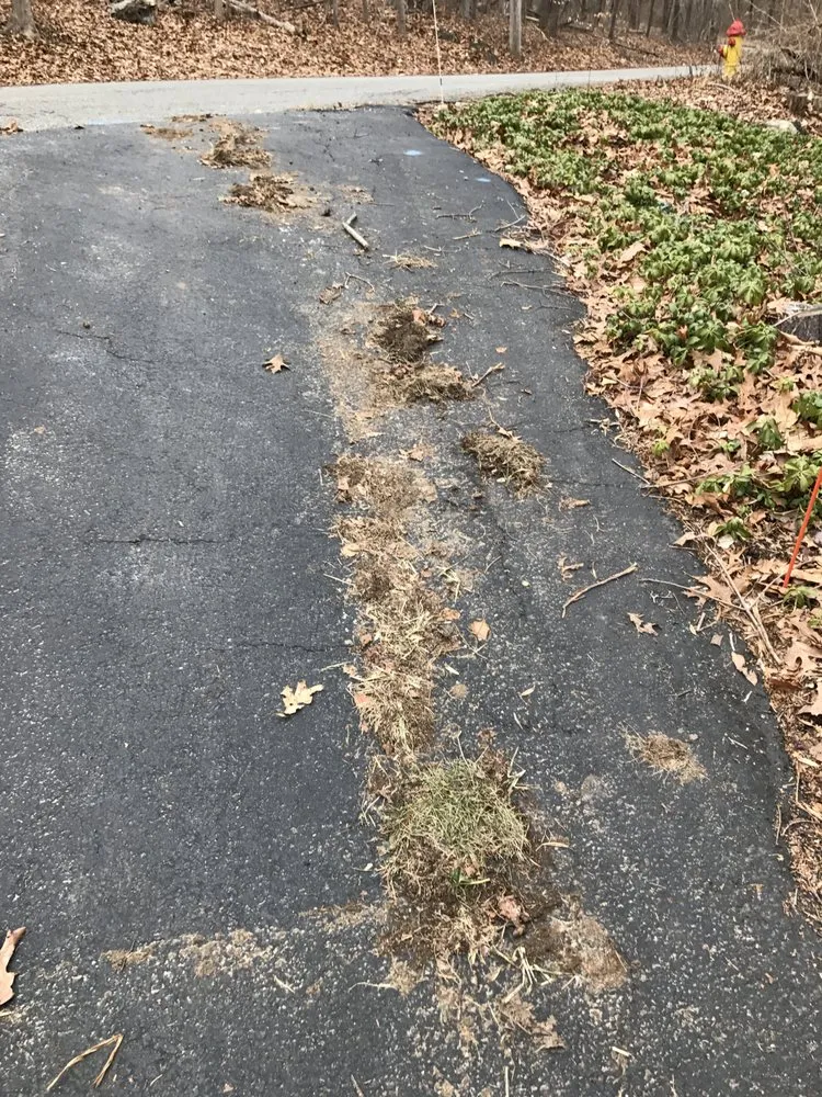 Top-rated landscape design in Peekskill, NY by Friendly Lawn Care