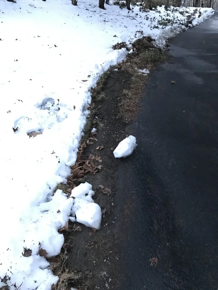 Expert yard maintenance for beautiful yards in Peekskill, NY by Friendly Lawn Care