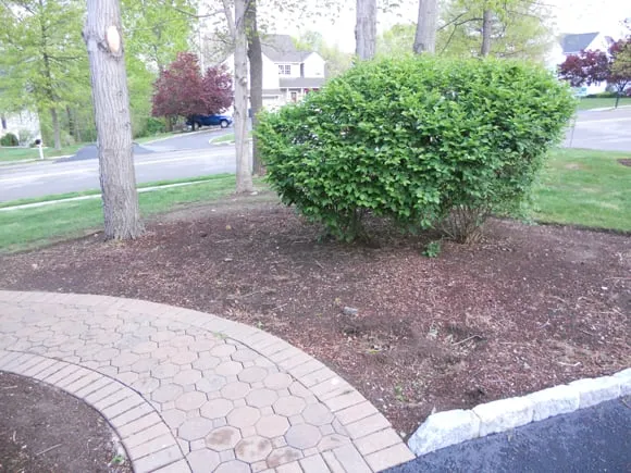 Affordable landscaping services experts serving Peekskill, NY - Friendly Lawn Care