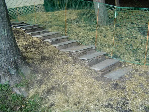 Affordable landscaping services for beautiful yards across Peekskill, NY - Friendly Lawn Care