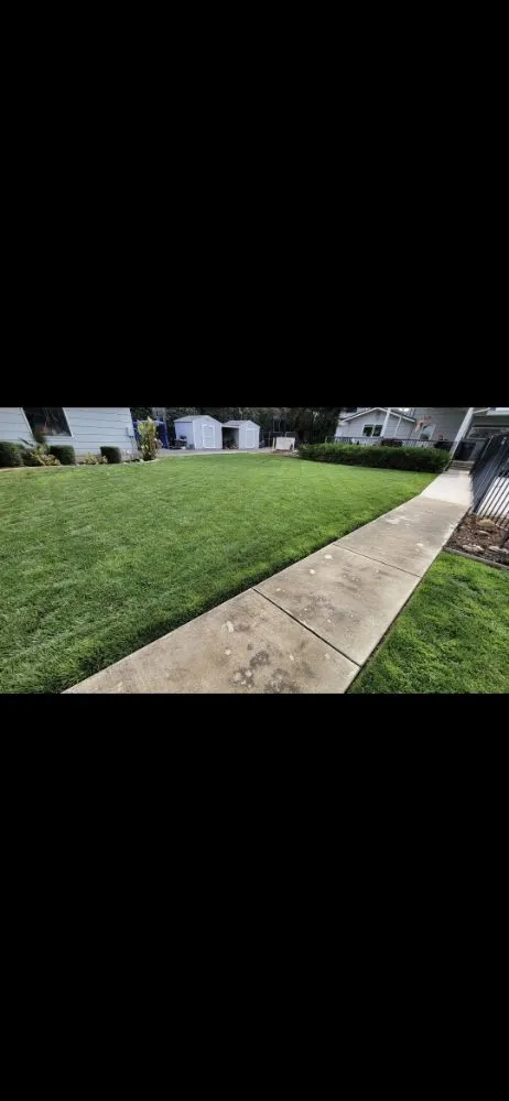 Top-rated garden landscaping for residential properties in Stockton, CA by Friendly Lawn Care