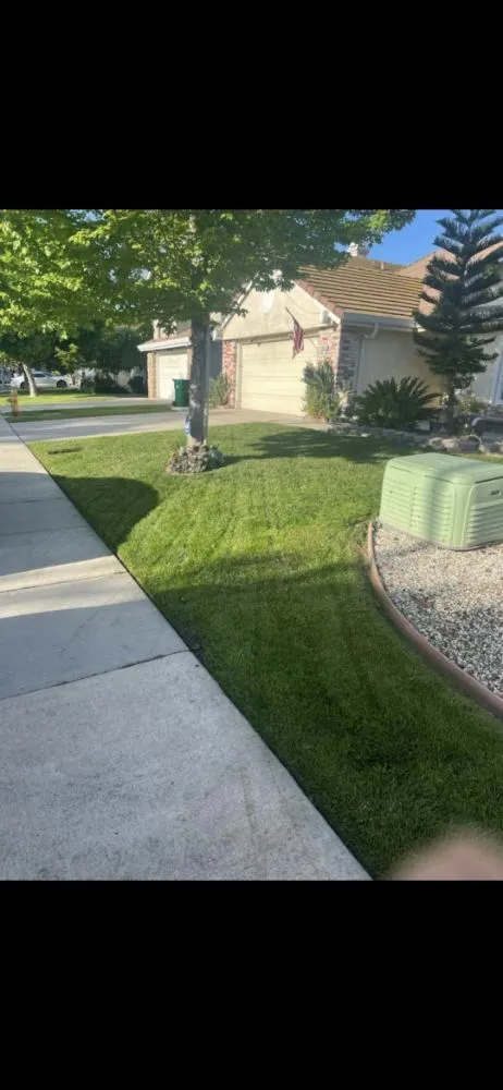 Affordable landscape installation for year-round maintenance in Stockton, CA by Friendly Lawn Care