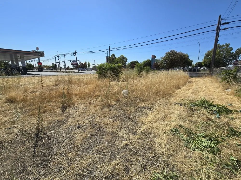 Trusted yard cleanup service with custom design in Stockton, CA by Friendly Lawn Care