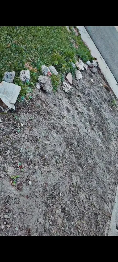 Custom garden landscaping for year-round maintenance across Greeley, CO - Friendly Neibghborhood Hero