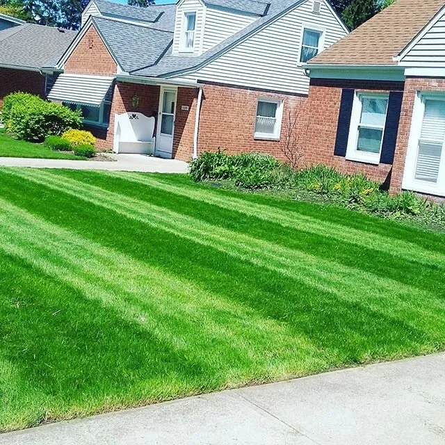 Top-rated yard cleanup service experts serving Eastlake, OH - Friendly Neighborhood Help