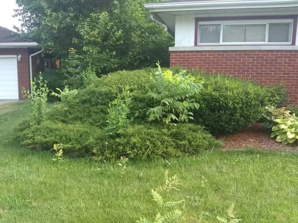 Reliable lawn mowing service experts serving Gary, IN - Friendly Neighbors Handyman and Landscaping