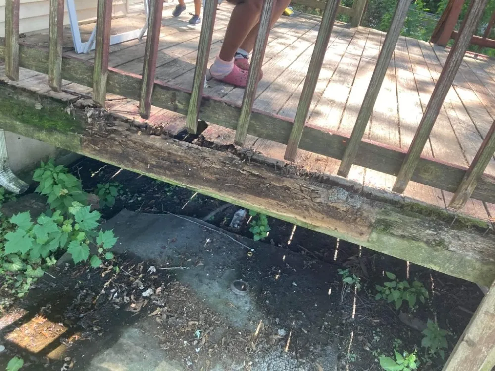 Local yard cleanup service experts serving Gary, IN - Friendly Neighbors Handyman and Landscaping