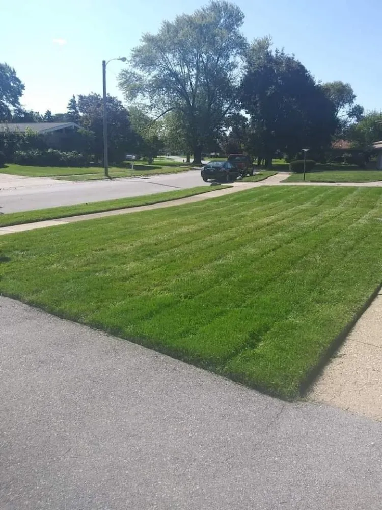 Top-rated yard cleanup service for year-round maintenance across Gary, IN - Friendly Neighbors Handyman and Landscaping