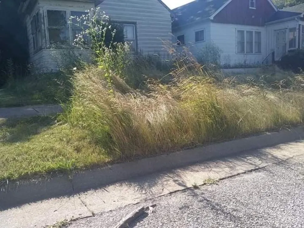 Trusted yard cleanup service experts serving Gary, IN - Friendly Neighbors Handyman and Landscaping