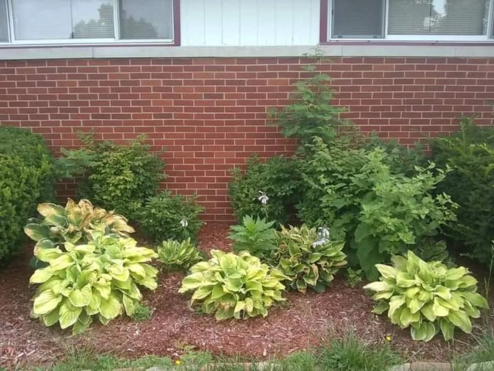 Expert landscape installation experts serving Gary, IN - Friendly Neighbors Handyman and Landscaping