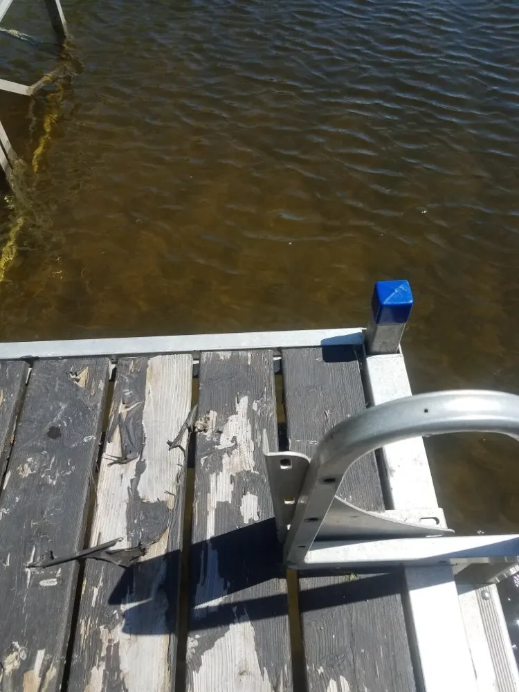 Local yard maintenance in Waterville, ME - Friendly Odd Jobs