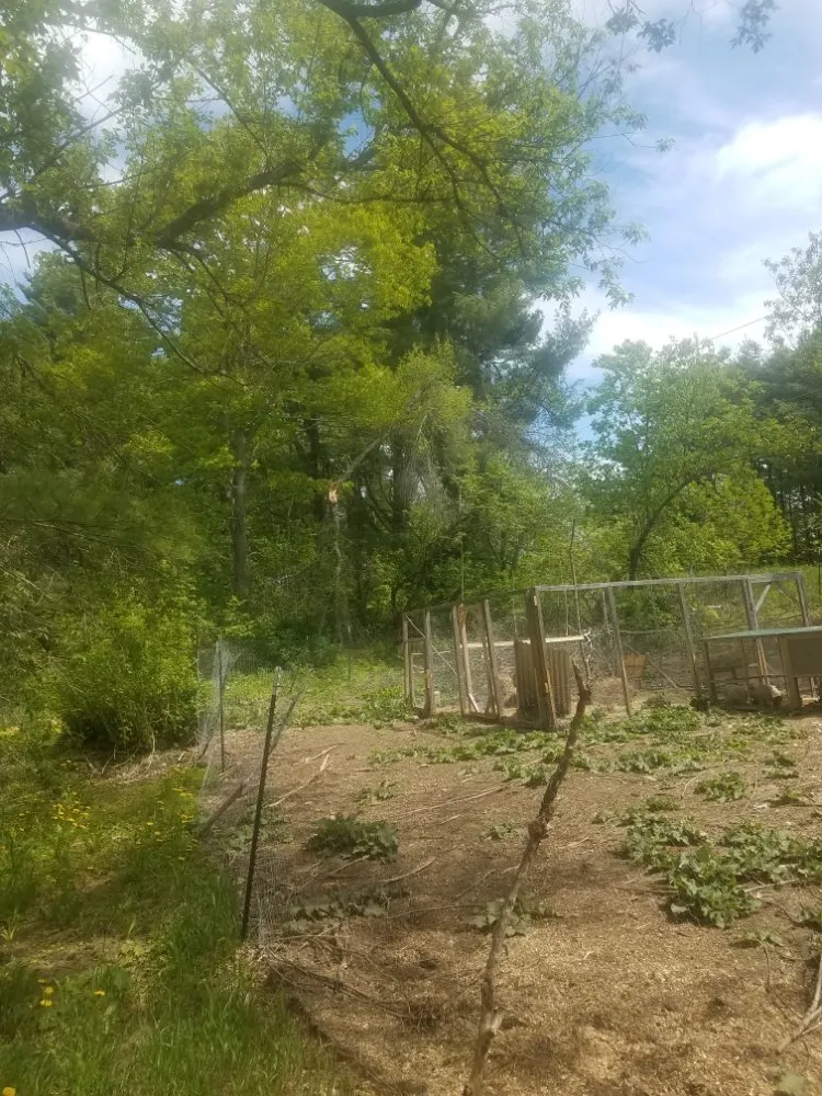 Trusted outdoor landscaping experts serving Waterville, ME - Friendly Odd Jobs