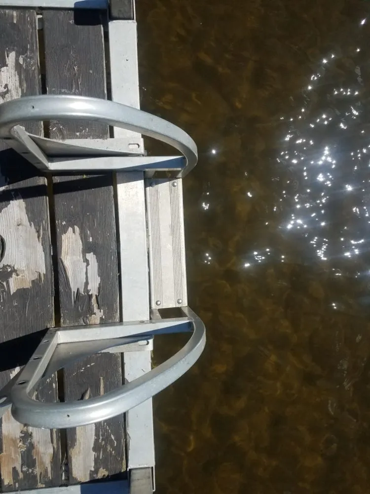 Expert yard cleanup service in Waterville, ME by Friendly Odd Jobs