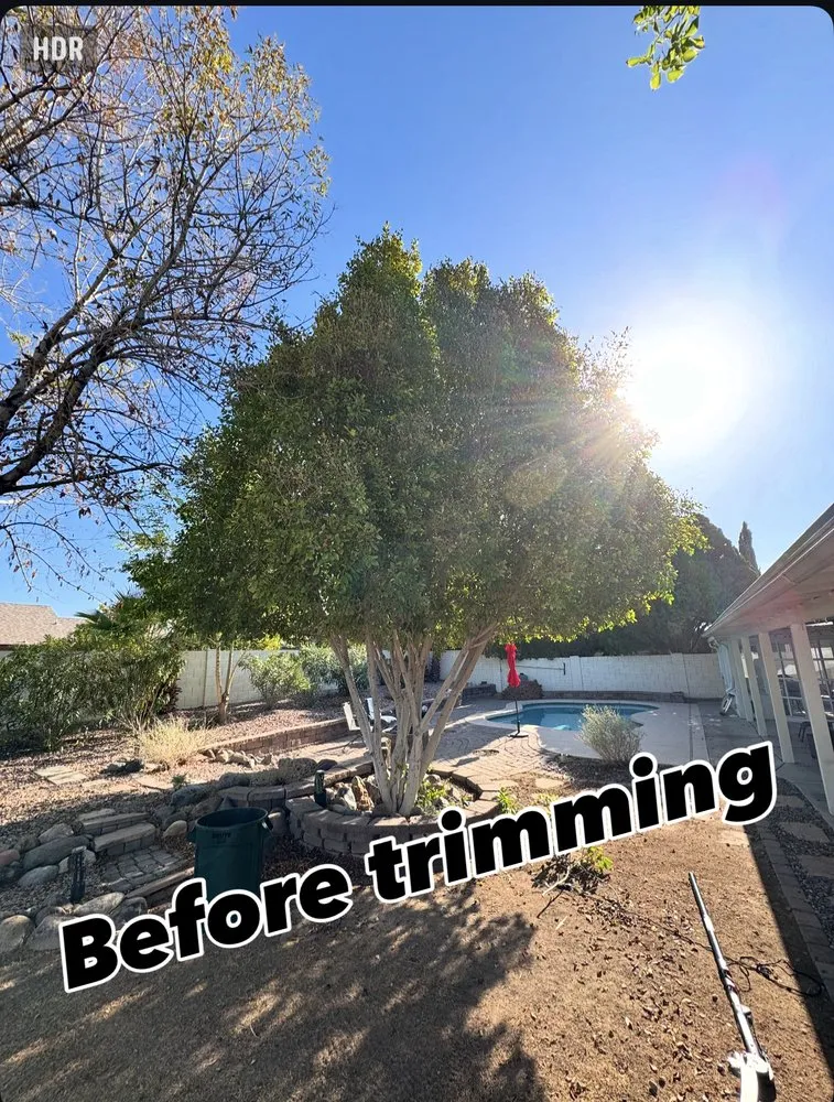 Reliable garden landscaping for homes across Phoenix, AZ - Friendly Professional Landscaping