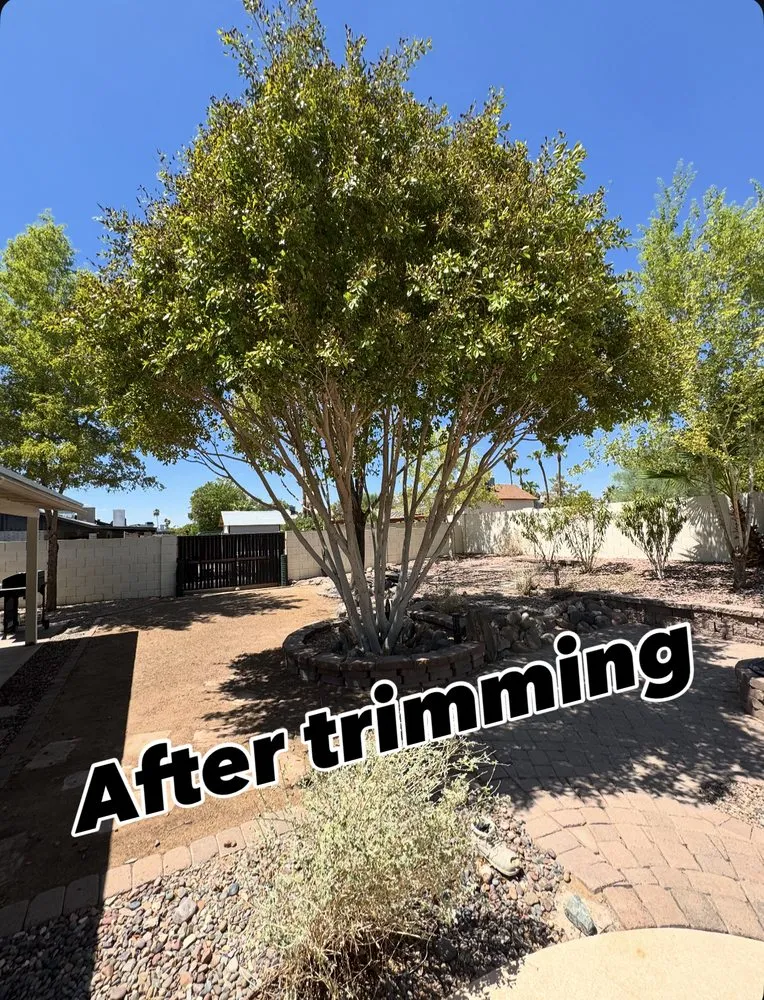 Reliable landscaping services for residential properties across Phoenix, AZ - Friendly Professional Landscaping