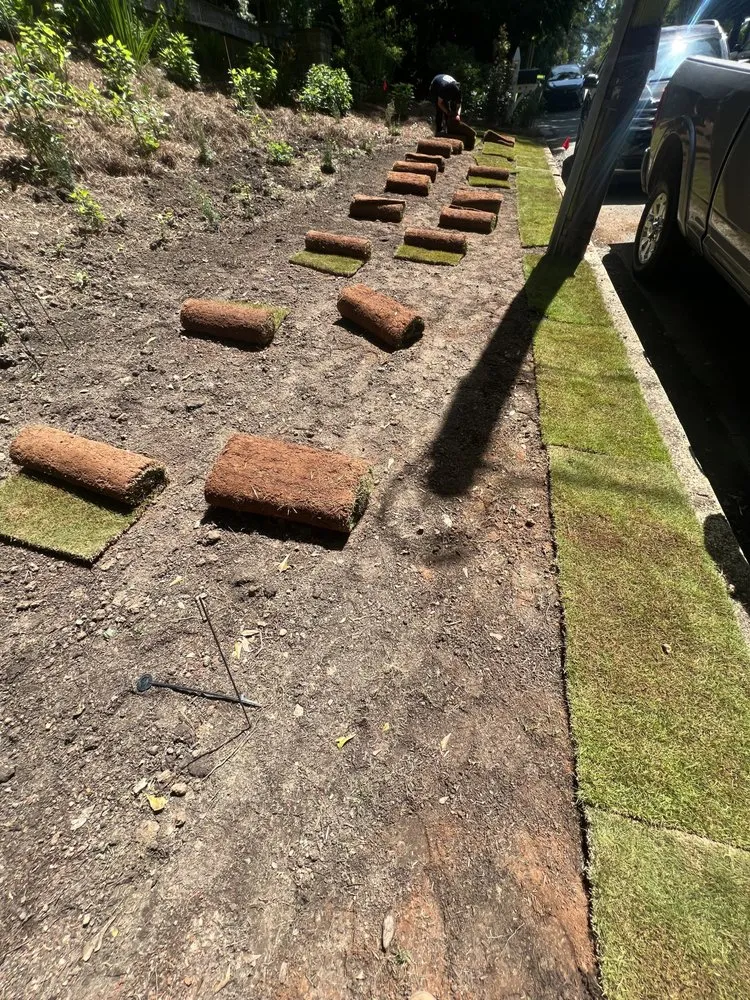 Expert lawn mowing service in Atlanta, GA - Friendly Robles