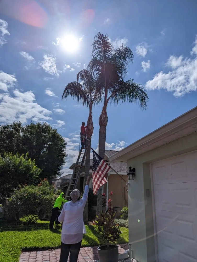 Reliable landscape installation for year-round maintenance in Merritt Island, FL by Friendly Touch Tree Service