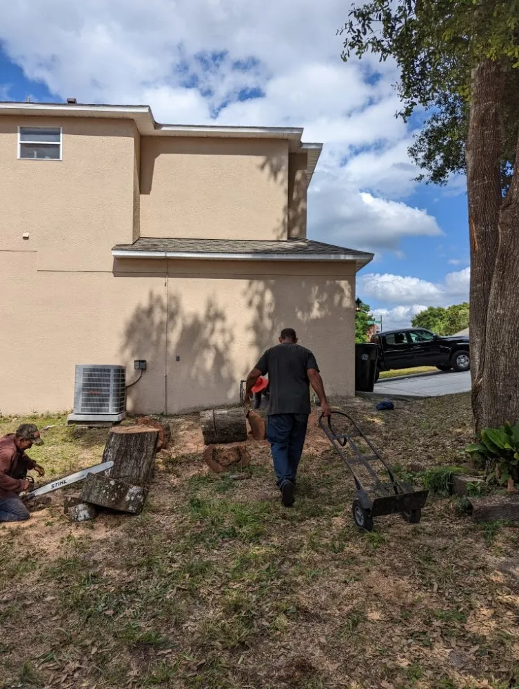 Reliable landscape design in Merritt Island, FL by Friendly Touch Tree Service