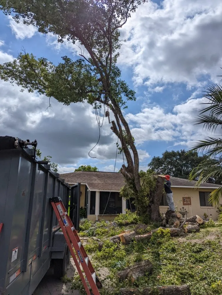 Professional landscape design in Merritt Island, FL - Friendly Touch Tree Service