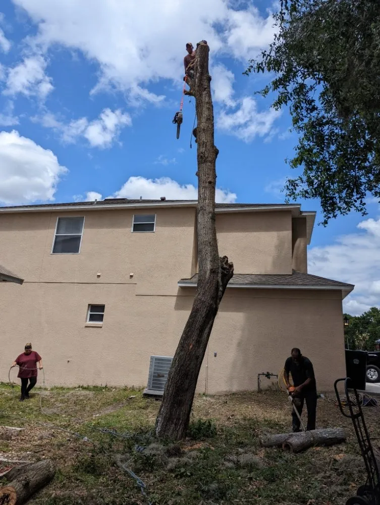 Affordable outdoor landscaping in Merritt Island, FL by Friendly Touch Tree Service