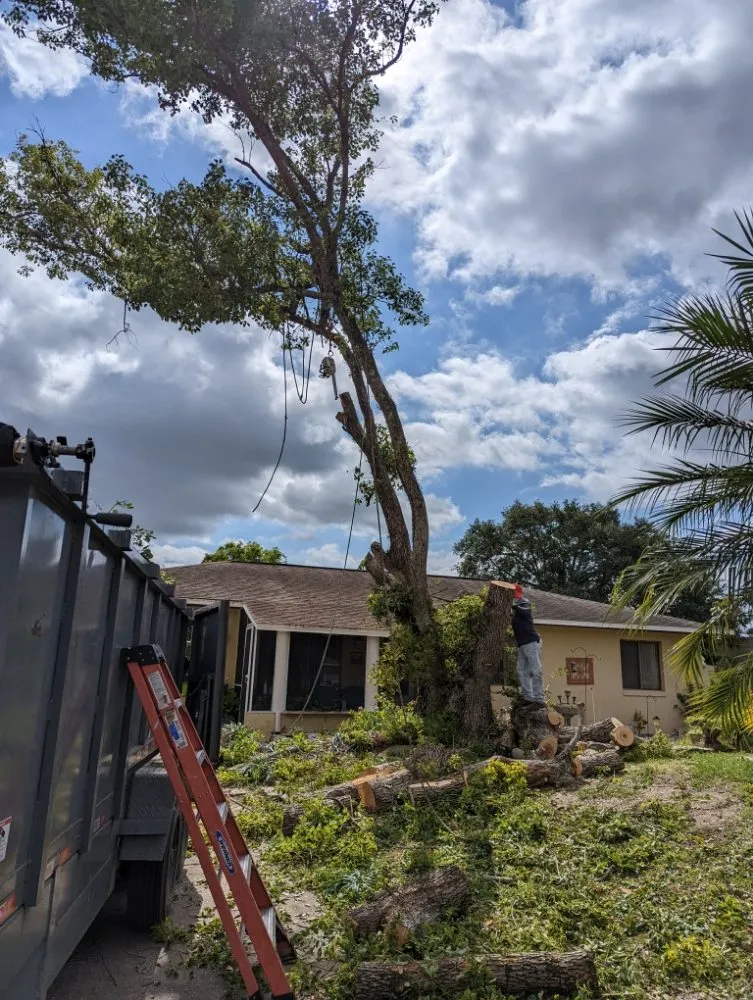 Expert lawn care service experts serving Merritt Island, FL - Friendly Touch Tree Service