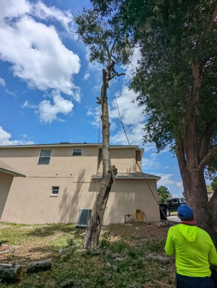 Expert yard maintenance for year-round maintenance in Merritt Island, FL by Friendly Touch Tree Service