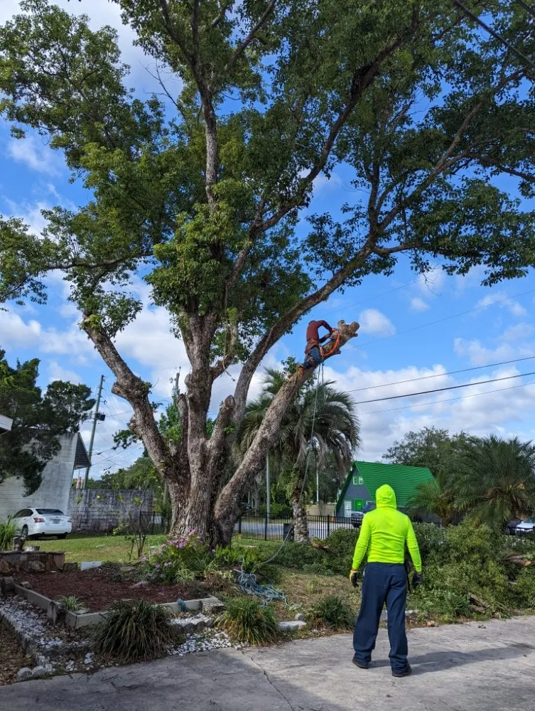 Reliable landscaping services in Merritt Island, FL by Friendly Touch Tree Service