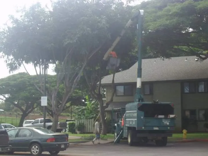 Custom residential landscaping in Makawao, HI by Friendly Tree & Landscaping Services