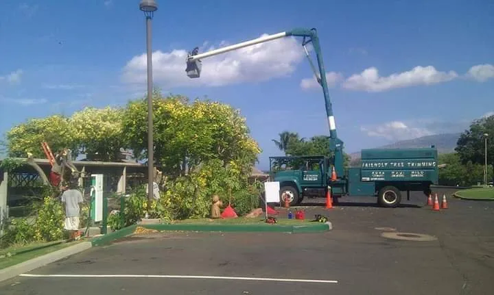 Professional landscaping services near you across Makawao, HI - Friendly Tree & Landscaping Services