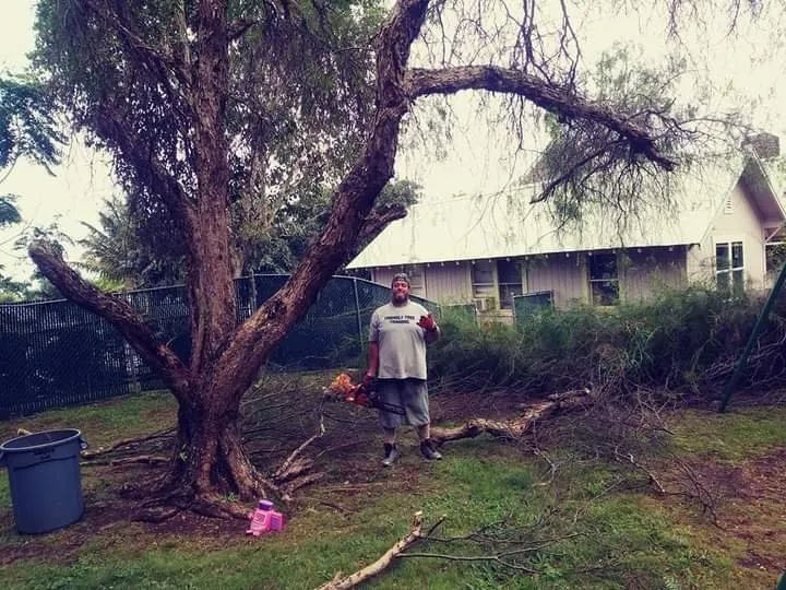 Professional landscape installation in Makawao, HI by Friendly Tree & Landscaping Services